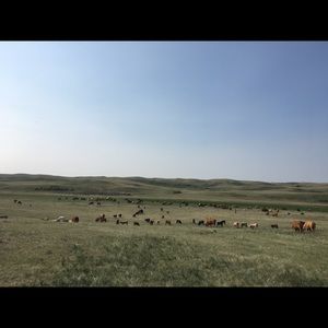 Meet your Posher, Jas